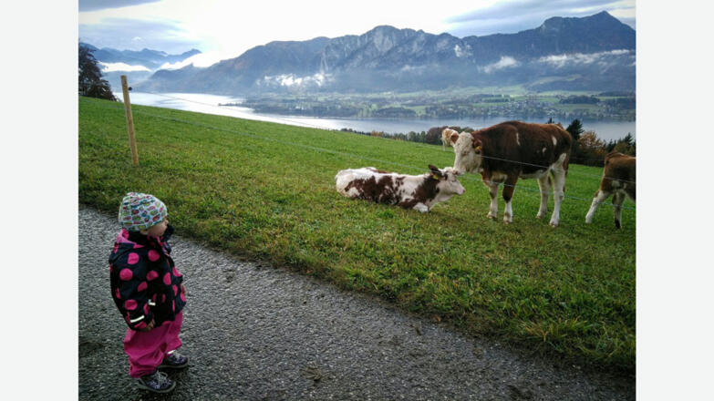 Ausblick