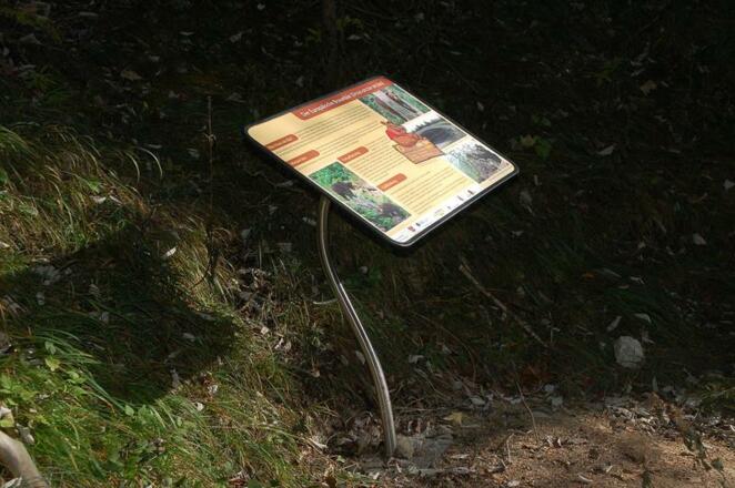 Bärenweg Lidaun - Faistenau