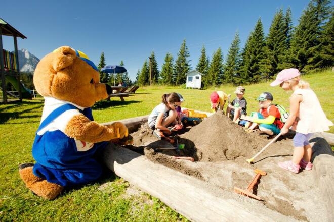 16720266 - Bruno in der Schatzkiste