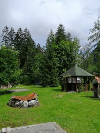 alte Bilder