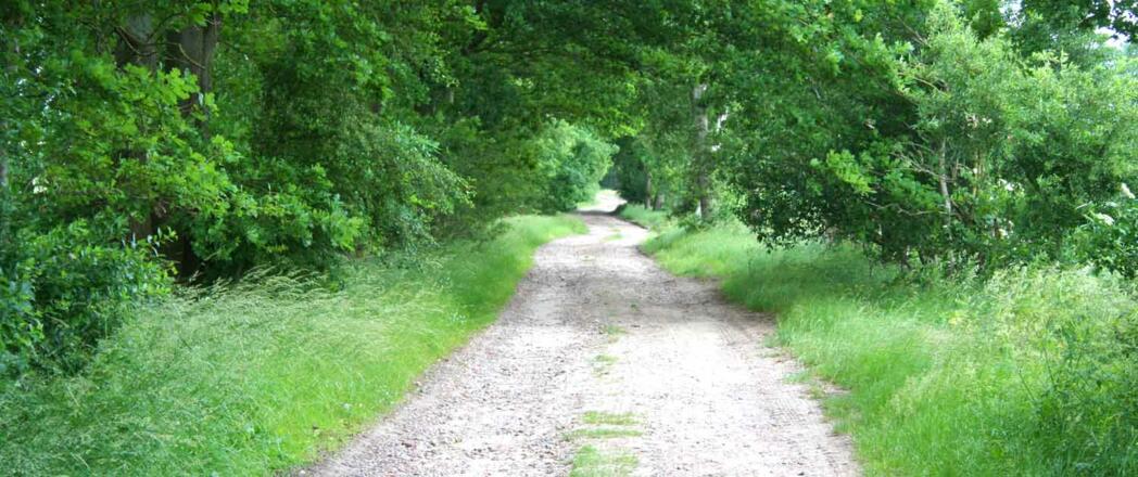 Die VIA ROMEA auf einem Feldweg in der Nähe von Harsefeld