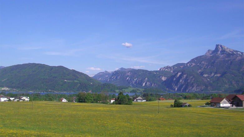 Blick auf die Drachenwand