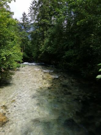 Holzstiegen Front