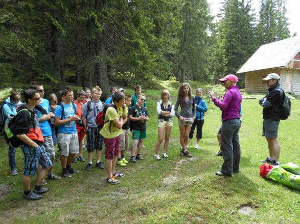 Wandern auf der Zwieselalm