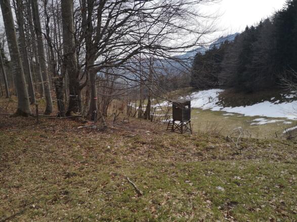 Bahnhof Trattenbach - Schoberstein - Grünburger Hütte