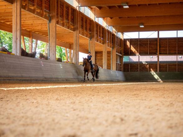 Pferdezentrum Stadl-Paura Trainingshalle