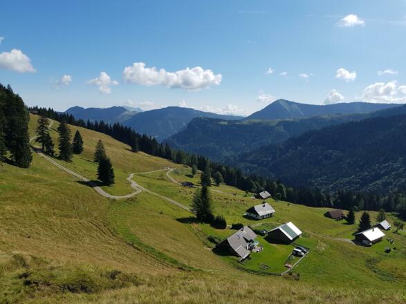 Ladenberg