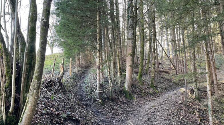 Hieslberg-Rotstein Trail - Großraming