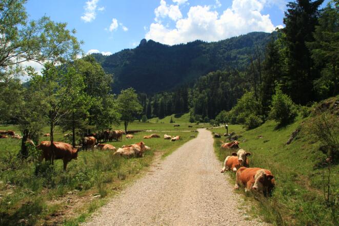 Im Talboden