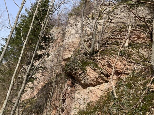 Hieslberg-Rotstein Trail - Großraming