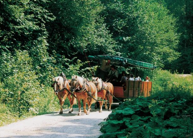 Kutschenfahrten im Reichraminger Hintergebirge