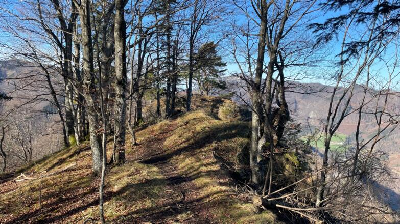 Hieslberg-Rotstein Trail - Großraming