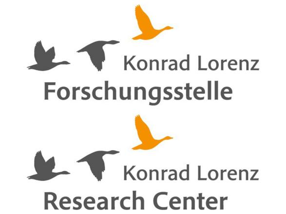 Waldrappen - Konrad Lorenz Forschungsstelle