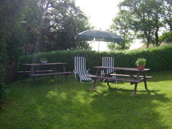 IMG_20210312_150711.jpg-td