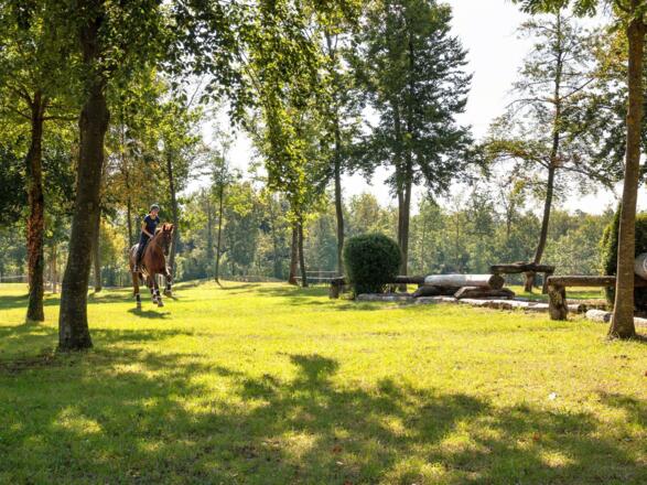 Pferdezentrum Stadl-Paura Gelände