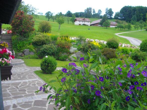 Steingarten mit Haus, Sommeransicht