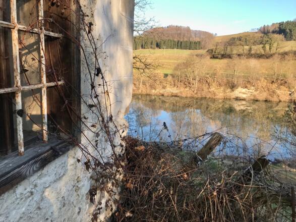 Trailrunning am Enns-Aktiv-Weg