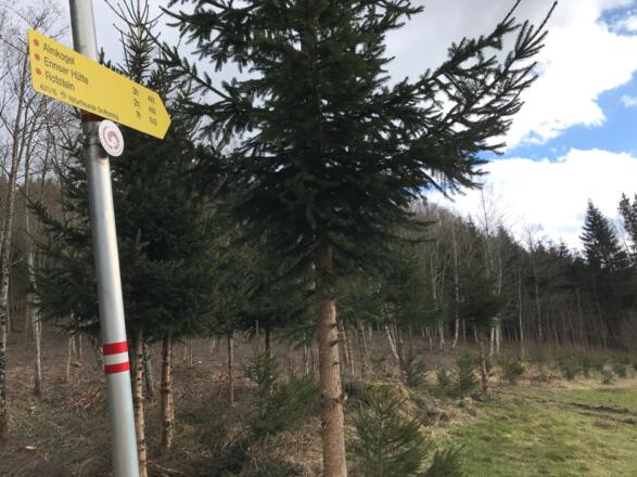 Rotstein-Trail - Großraming