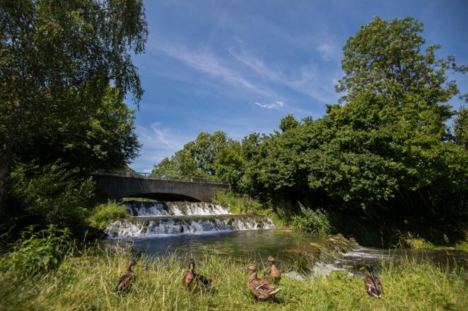 Idylle am Stadtweiher Riedenburg
