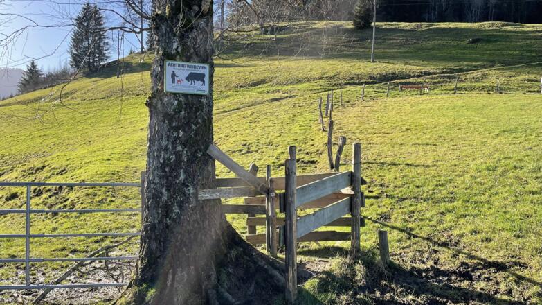 Hieslberg-Rotstein Trail - Großraming