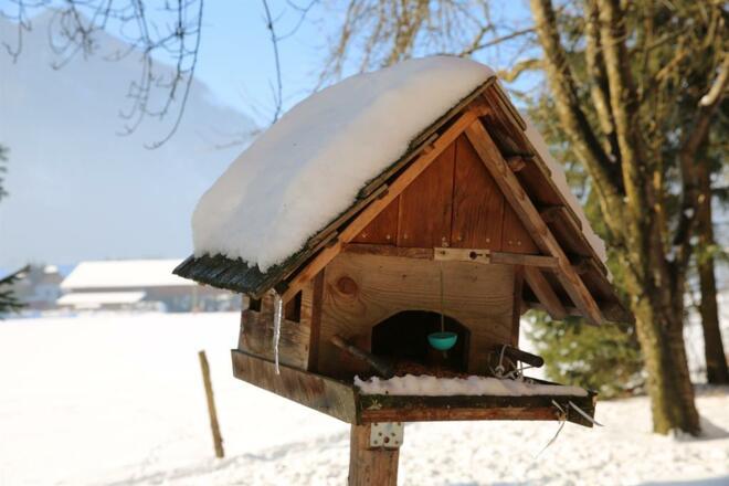 Frühstückspension Mittermayr Ansicht Sommer