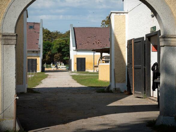 Pferdezentrum Stadl-Paura Stallungen