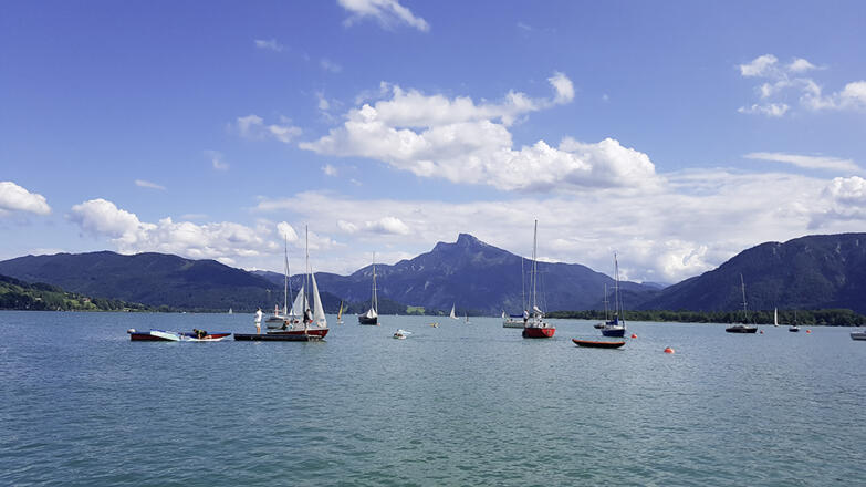 Blick auf den Mondsee