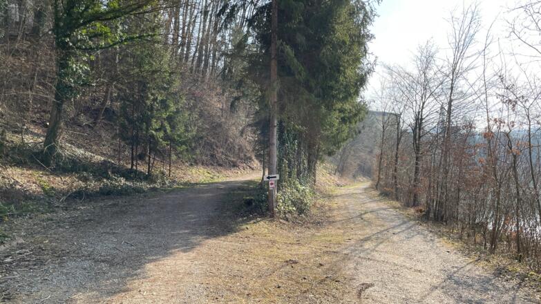 Damberg-Trail - flussaufwärts entlang der Enns