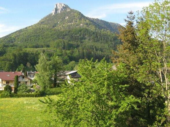 Aussenansicht im Sommer