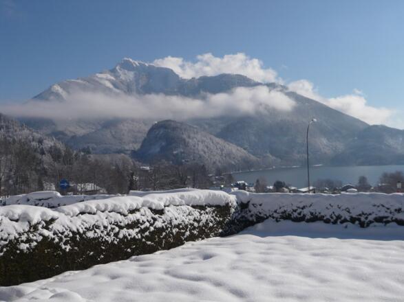 Pension Seeblick Garten