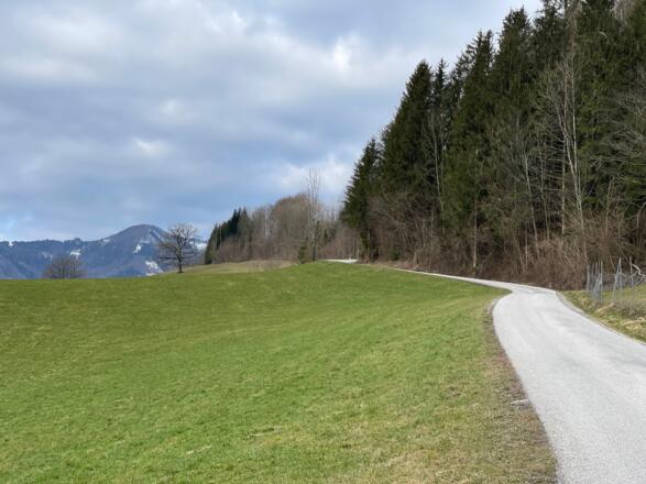 Reichraming - Schieferstein - Pfennigstein Trail