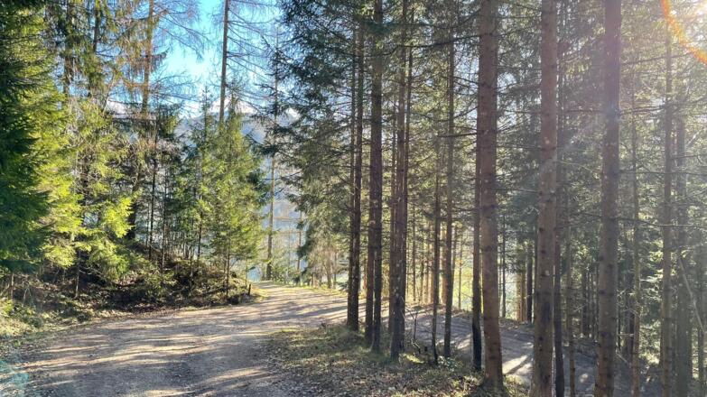 Hieslberg-Rotstein Trail - Großraming
