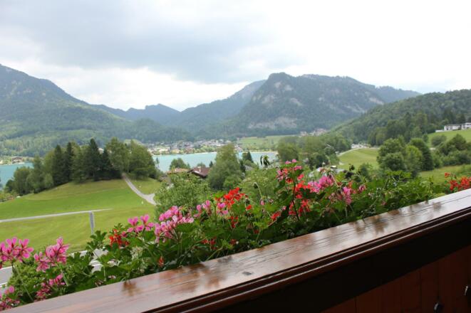 FW Schober Blick