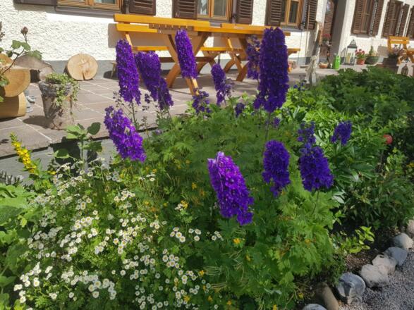 Sommer_02