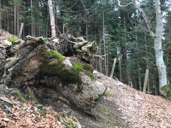 Rotstein-Trail - Großraming