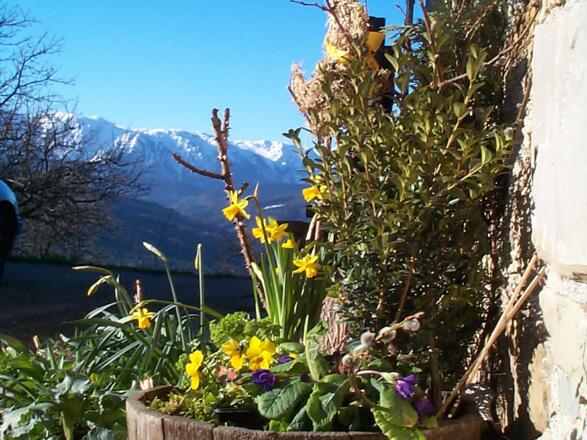 Aussicht vom Südbalkon