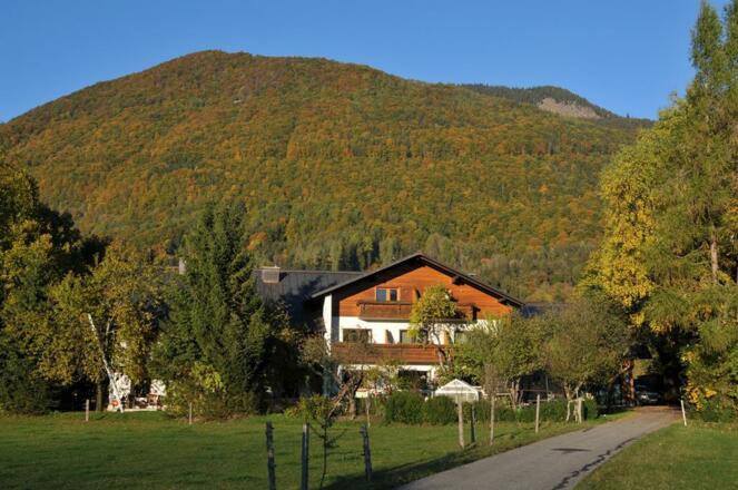 Steinmanderl über den Wolken