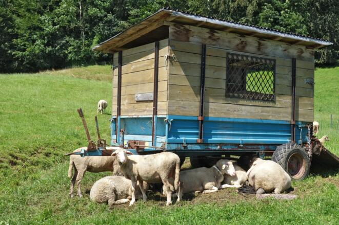 Lagerfeuer_VeroMotiv