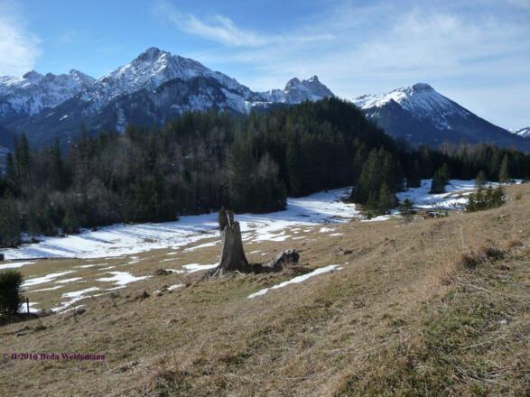Blick von der Saloberalpe zum Aggenstein