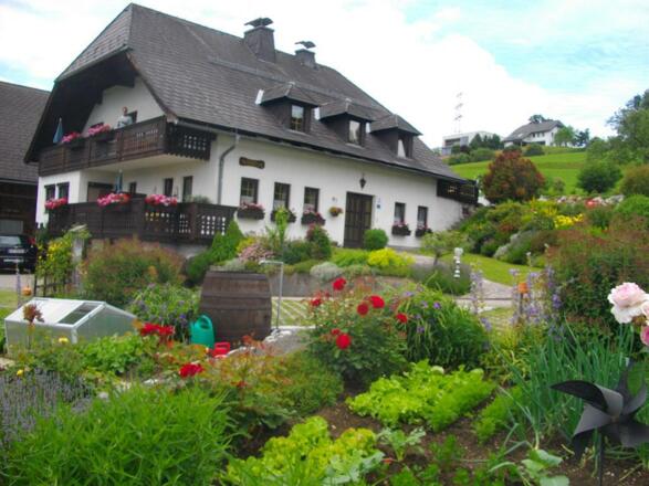 Steingarten mit Terrasse im Rauhreif