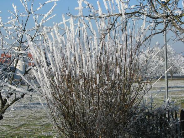 Abenstimmung über Naturteich