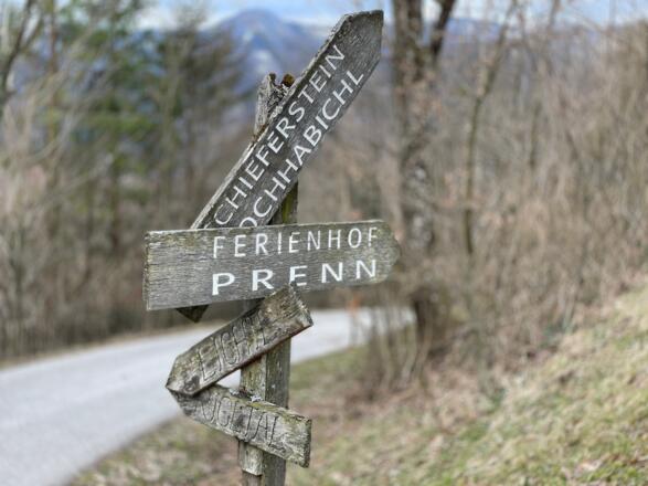 Reichraming - Schieferstein - Pfennigstein Trail