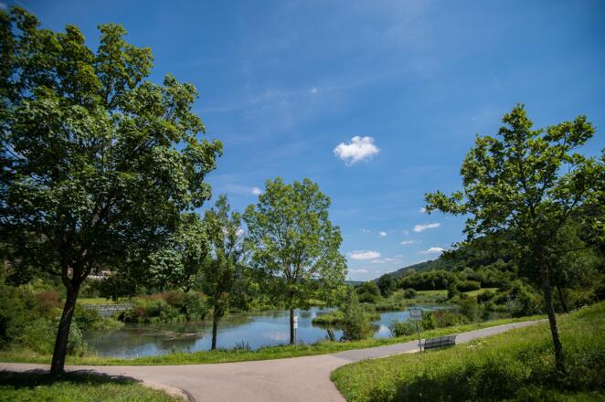 Am idyllischen Stadtweiher in Riedenburg