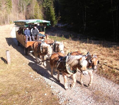 Kutschenfahrten ins Reichraminger Hintergebirge