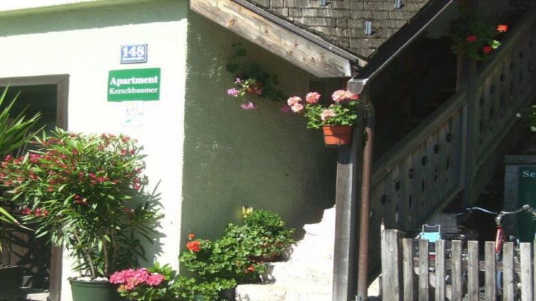 Hallstättersee im Winter