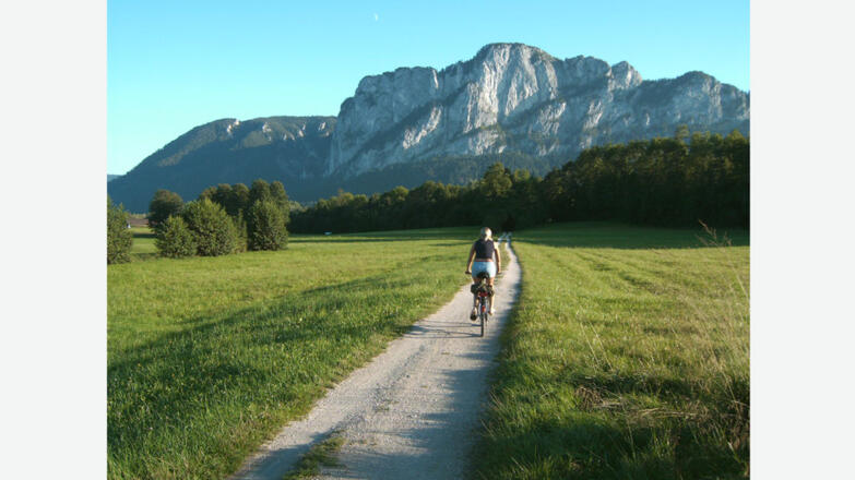 Apartment - Ferenwohnung Laireiter