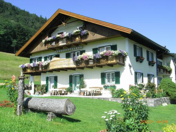 Haus am Wald Panorama