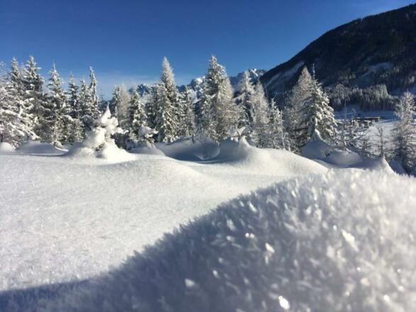winter3