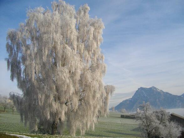 Steingarten in Herbsstimmung