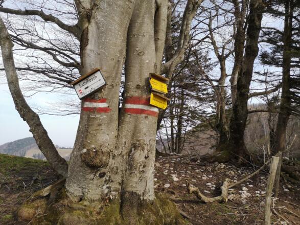 Bahnhof Trattenbach - Schoberstein - Grünburger Hütte